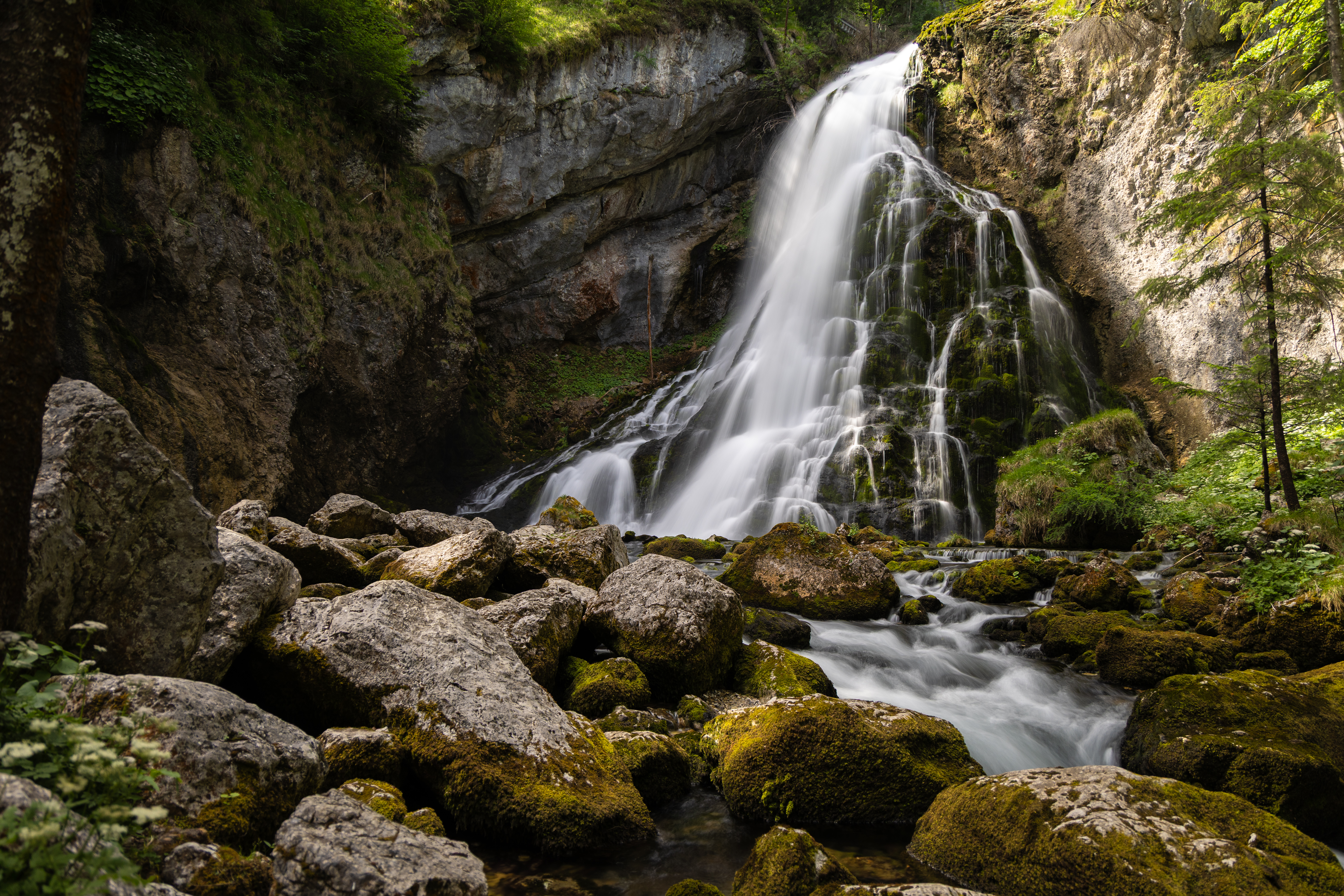 Natur 4