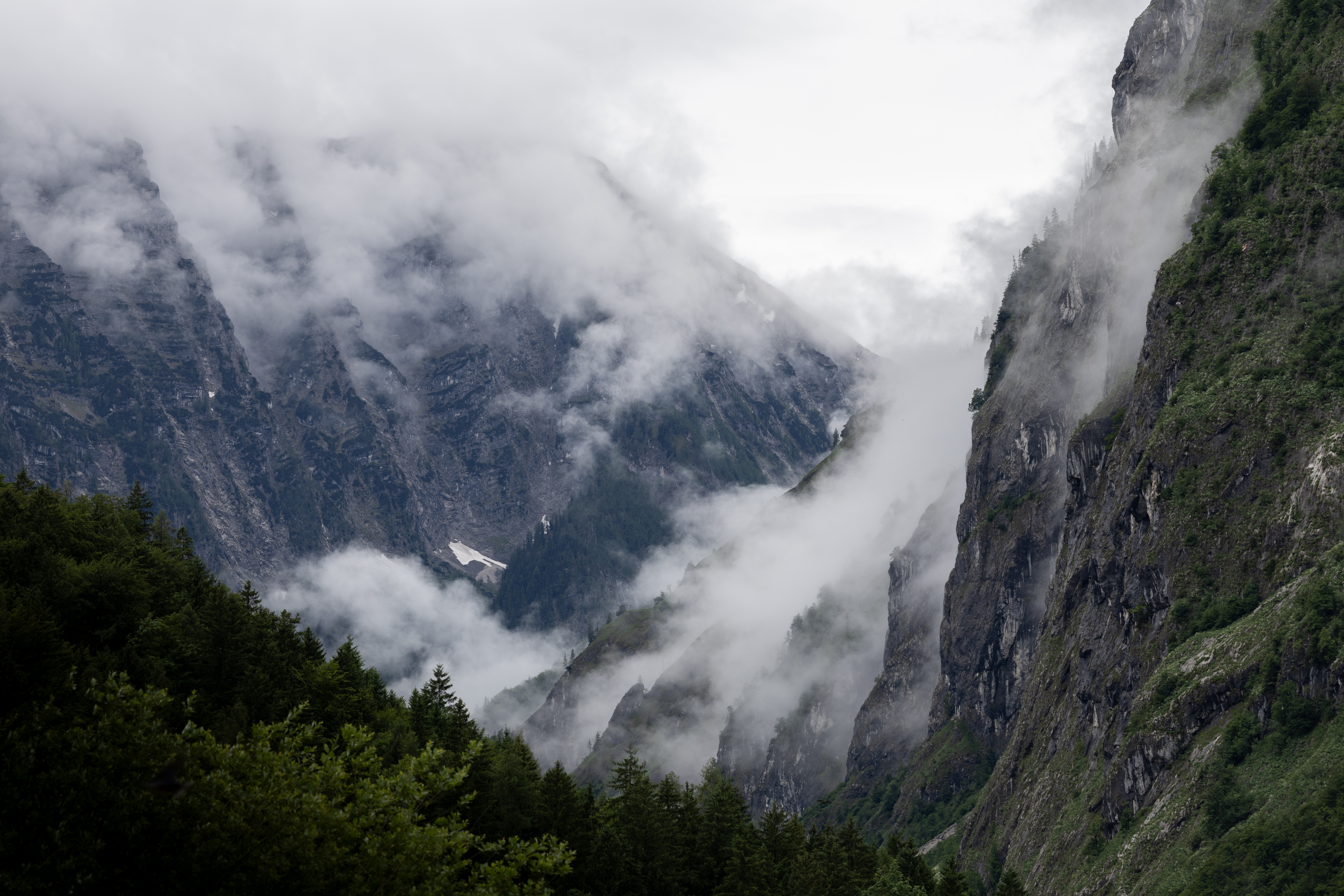 Natur 6